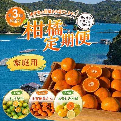 [全3回] 土実樹農園の柑橘定期便 お届け合計3種 9〜10kg [ゆら早生・土実樹みかん・お楽しみ柑橘] みかん ミカン 蜜柑 温州みかん 温州ミカン 定期便 フルーツ 果物 フルーツ 果物 くだもの 旬 産地直送 三重県 南伊勢町