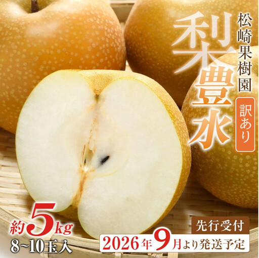 [訳あり梨 2026年発送/先行予約]訳あり「豊水」約5kg(8〜10玉入)[松崎果樹園]|訳あり 梨 ナシ こだわりの梨 フルーツ 果物 旬の梨 宮城県角田市 約5kg