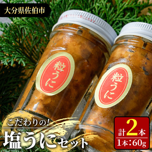 こだわりの塩うにセット(60g×2本)うに ウニ 雲丹 塩うに 冷凍 海の直売所 大分県 佐伯市【AS162】【海べ】