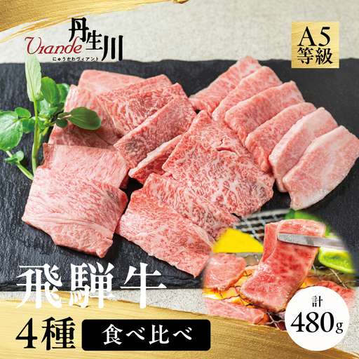 4種食べ比べ!飛騨牛 A5等級 焼肉 480g | 黒毛和牛 牛肉 焼肉セット ブランド牛 希少部位 冷凍牛肉 個包装 焼肉 丹生川精肉