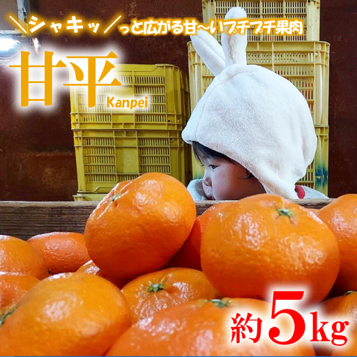 【愛媛県産】 甘平 約5kg 訳あり 甘平 みかん 【TKG0013】