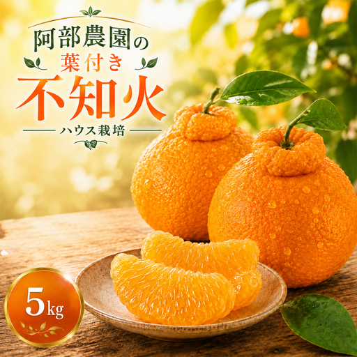 【2027年先行予約】 不知火 約5kg しらぬい 柑橘 ミカン 阿部農園 ＜112-007＞