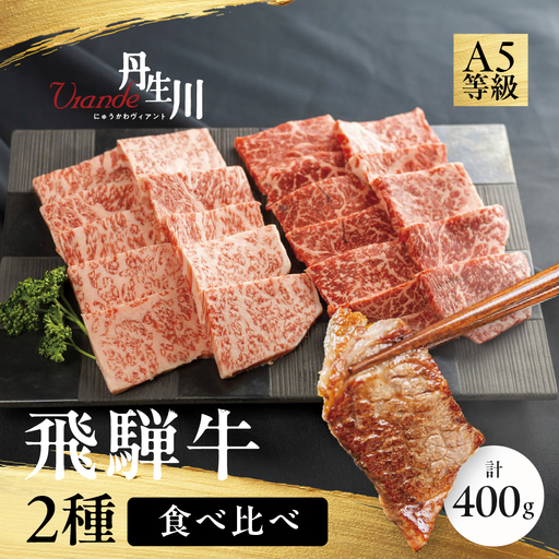 2種食べ比べ! 飛騨牛 A5等級 焼肉 サーロイン 200g もも 赤身 200g | 牛肉 飛騨牛 ブランド牛 国産 赤身 サーロイン 焼肉 バーベキュー アウトドア 丹生川精肉