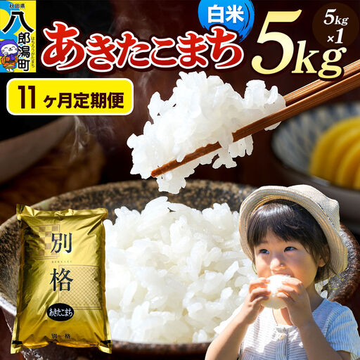 《令和8年産 新米》《定期便11ヶ月》米 あきたこまち 5kg【白米】秋田県産