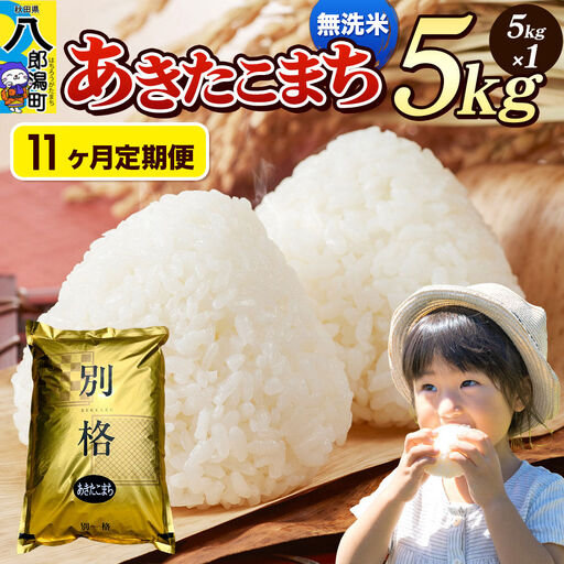 《令和8年産 新米》《定期便11ヶ月》米 あきたこまち 5kg【無洗米】秋田県産