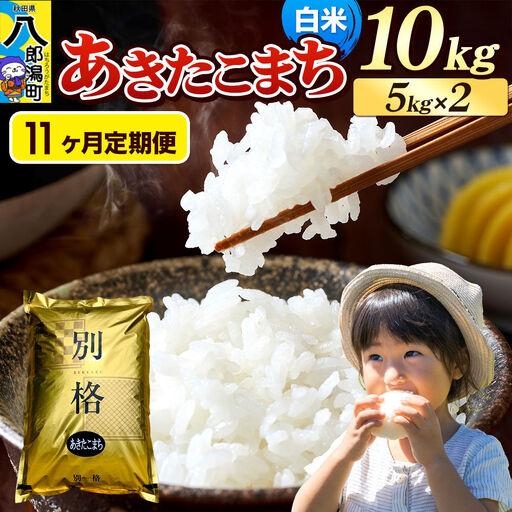 《令和8年産 新米》《定期便11ヶ月》米 あきたこまち 10kg（5kg×2袋）【白米】秋田県産