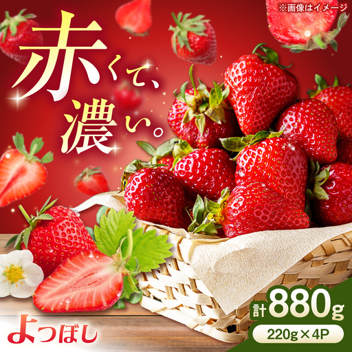 中まで真っ赤!極あまいちご「よつぼし」880g(220g×4パック) / いちご よつぼし 濃厚 / 佐賀県 / 株式会社しもむら農園[41AHAH010]