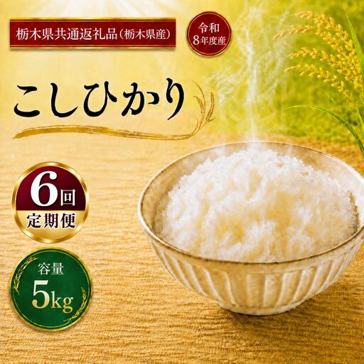 令和8年度 【定期便3回】 こしひかり 5kg お米 栃木県共通返礼品