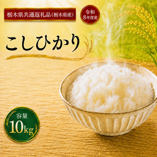 令和8年度 【定期便6回】 こしひかり 5kg お米 栃木県共通返礼品