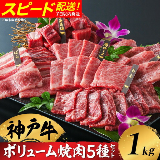 神戸牛 ボリューム焼肉セット 5種1kg(200g×5種)化粧箱入り 冷凍 / 焼肉 牛肉 神戸ビーフ/翌月にお届け