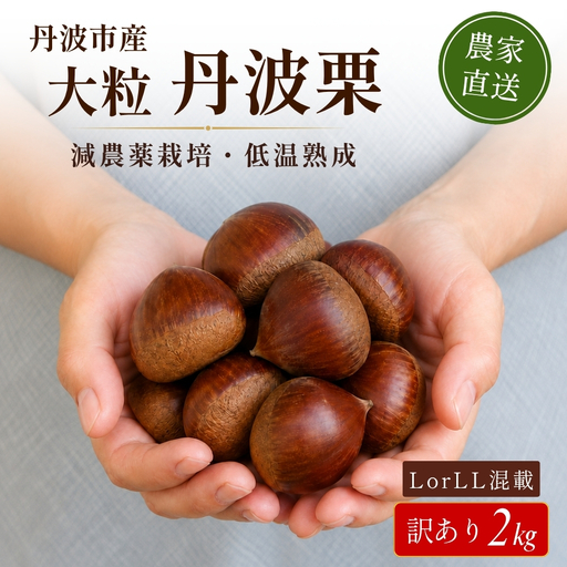 〈予約 期間限定〉訳あり 熟成丹波栗 L or LL 混載 2kg 栗