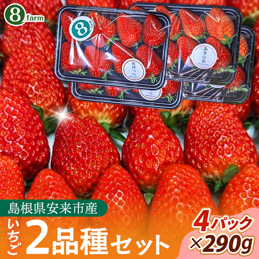 [先行予約]イチゴ2品種 4パックセット[ 約290g×4パック 約1160g 食べ比べ いちご 苺 ストロベリー 冷蔵 安来市産][16-FA-05]