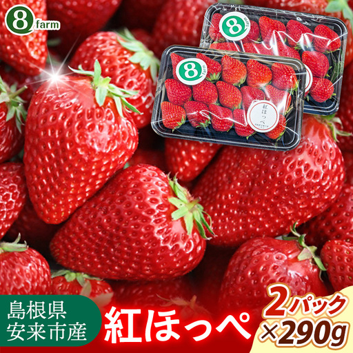 [先行予約] 紅ほっぺ 2パック [ 約290g×2パック べにほっぺ イチゴ いちご 苺 ストロベリー 冷蔵 安来市産][10-FA-06]