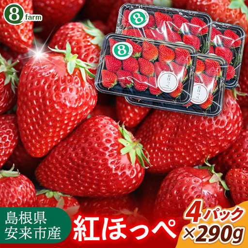 [先行予約] 紅ほっぺ 4パック [ 約290g×4パック べにほっぺ イチゴ いちご 苺 ストロベリー 冷蔵 安来市産][16-FA-07]