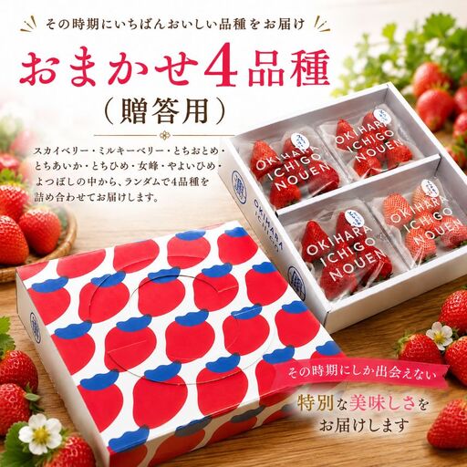 [先行予約]いちご おまかせ4品種 贈答用 | 栃木県 那珂川町 送料無料[栃木県共通返礼品]