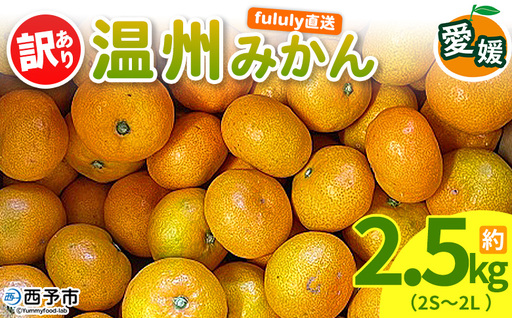 [fululy直送 温州みかん 訳あり 約2.5kg(2S〜2L)] ワケアリ サイズ混合 果物 フルーツ 蜜柑 うんしゅうみかん ウンシュウミカン 柑橘 家庭用 合同会社fululy 直送 愛媛県 西予市[常温]『2026年11月上旬〜2026年12月中旬迄に順次出荷』AGF0015