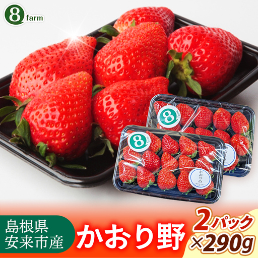 [先行予約] かおり野 2パック [ 約290g×2パック かおりの イチゴ いちご 苺 ストロベリー 冷蔵 安来市産][10-FA-10]
