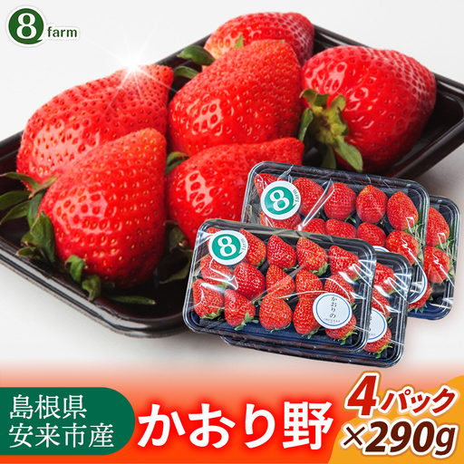 [先行予約] かおり野 4パック [ 約290g×4パック かおりの イチゴ いちご 苺 ストロベリー 冷蔵 安来市産][16-FA-11]