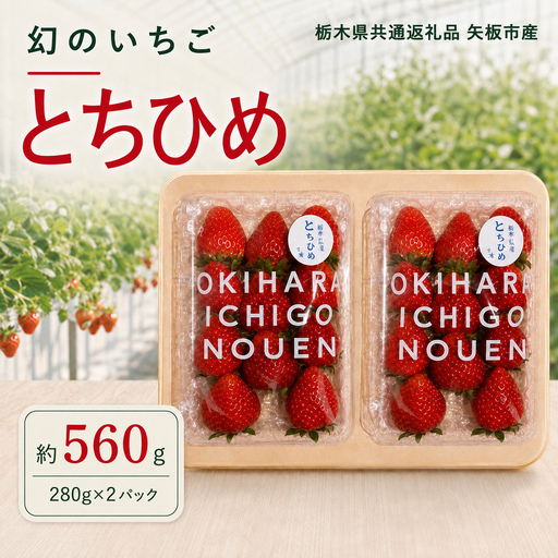 澳原さんの「とちひめ」 560g (280g×2P)| 栃木県共通返礼品 矢板市産 いちご 果物 フルーツ 栃木県下野市