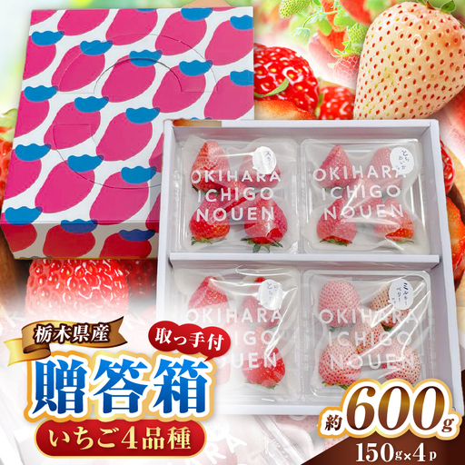 澳原さんの「おまかせ4品種BOX」(贈答箱)栃木県共通返礼品 矢板市産 いちご 果物 フルーツ 栃木県下野市