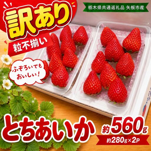訳あり 粒不揃い とちあいか 560g (280g×2P) | 栃木県共通返礼品 矢板市産 いちご 果物 フルーツ 栃木県下野市