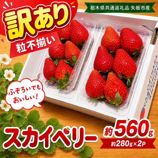 訳あり 粒不揃い スカイベリー 560g (280g×2P) | 栃木県共通返礼品 矢板市産 いちご 果物 フルーツ 栃木県下野市