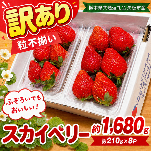 訳あり 粒不揃い スカイベリー 1,680g (280g×6P) | 栃木県共通返礼品 矢板市産 いちご 果物 フルーツ 栃木県下野市