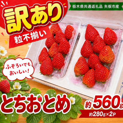 訳あり 粒不揃い とちおとめ 560g (280g×2P) | 栃木県共通返礼品 矢板市産 いちご 果物 フルーツ 栃木県下野市