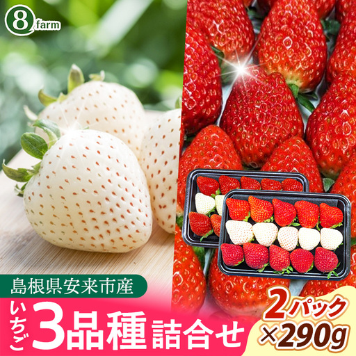 [先行予約]イチゴ「三品種詰合せ」2パック(白イチゴ入)[ 約290g×2パック 白乙女 おまかせ 3品種 食べ比べ いちご 苺 ストロベリー 冷蔵 安来市産][11-FA-15]