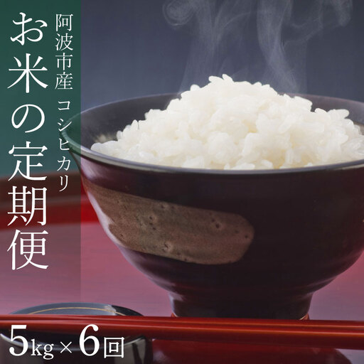 コシヒカリ 定期便 6回 5kg 令和8年産 【 お米 】