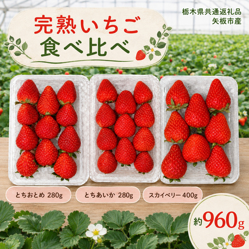 いちご3品種 食べ比べセット 960g(とちあいか・スカイベリー・とちおとめ)栃木県共通返礼品 矢板市産 いちご 果物 フルーツ 栃木県下野市