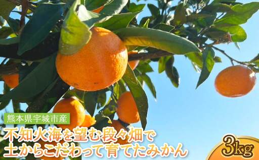 令和8年熊本地震復興支援 不知火海を望む段々畑で、土からこだわって育てたみかん 約3kg【2026年10月上旬～2027年2月下旬頃順次発送予定】