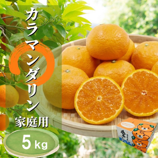 【2027年4月下旬頃から順次発送】カラマンダリン 家庭用 5kg | 愛媛県 松山市 【PT102】