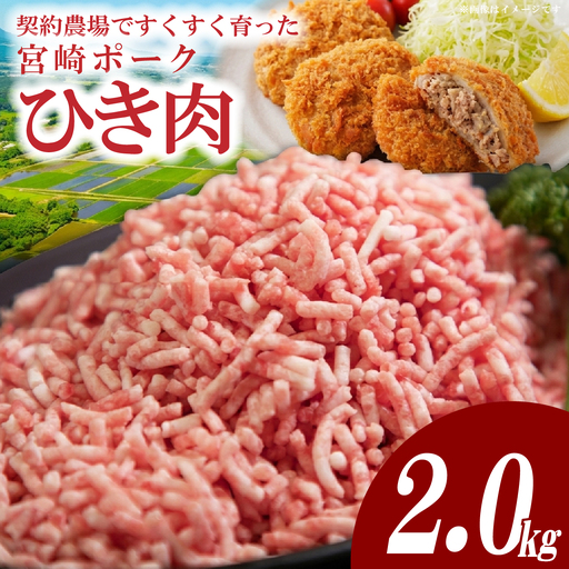 ひき肉 [産地直送・個包装]契約農場ですくすく育った宮崎ポークひき肉 2kg