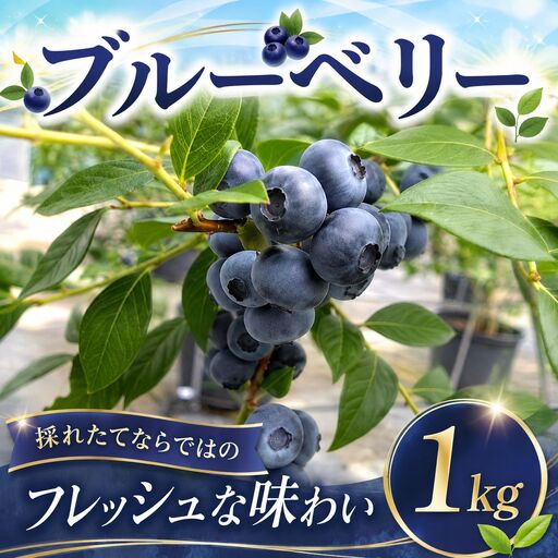 [先行予約]濃厚!採れたてブルーベリー (1kg) ベリー
