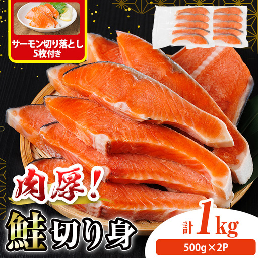 肉厚 鮭 切り身(計1kg・500g×2P) サーモン切り落とし5枚付き! 塩鮭 冷凍 厚切[AW-136][丸正水産]