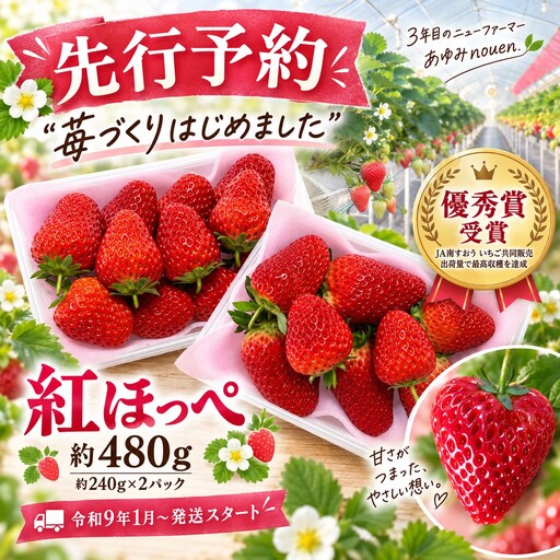 [令和8年度先行予約][年明け発送]“苺づくりはじめました"紅ほっぺ 約480g[約240g×2パック]