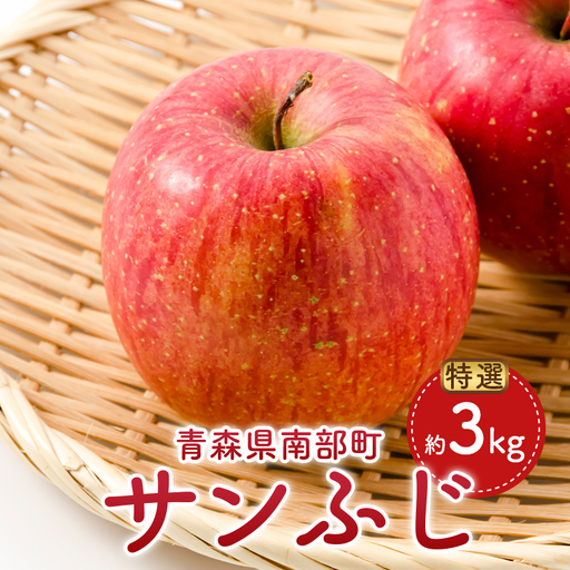 特選 サンふじ 約3kg （9～12玉） 【村井青果】 青森県産 りんご リンゴ 林檎 アップル フルーツ 果物 旬 フルーツ 贈答 ギフト プレミアム 三戸 南部町 F21U-724