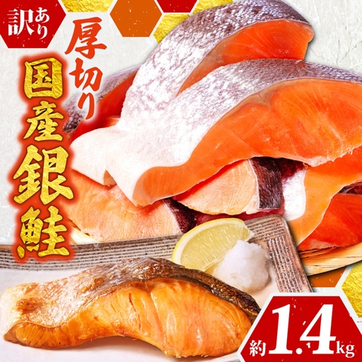 訳あり 厚切 国産銀鮭 切り身 1.4kg 銀鮭