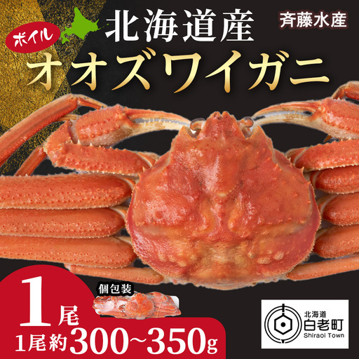 北海道産 オオズワイ 300g〜350g ×1尾 オオズワイ 蟹 かに カニ ボイル