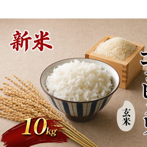 令和8年新米　 國方さんの「コシヒカリ」10kg（玄米）米 玄米 コシヒカリ