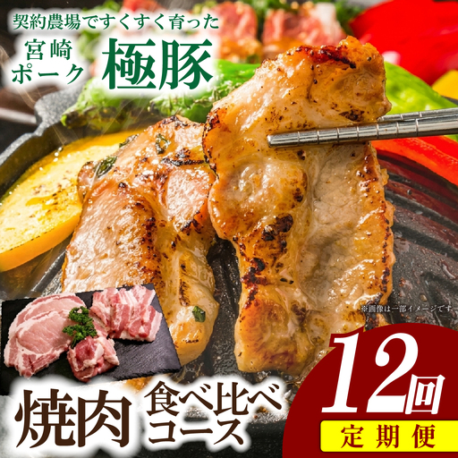 豚肉 [定期便]契約農場ですくすく育った宮崎極豚焼肉食べ比べコース 12回 豚肉