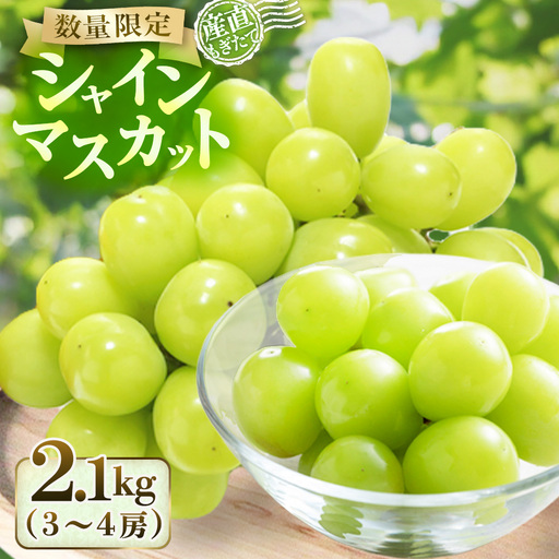 ぶどう [産直もぎたて]シャインマスカット 2.1kg