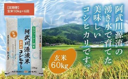 A128【定期便】阿武川源流米コシヒカリ玄米60㎏(10kg×6回)