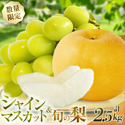 ぶどう 旬の梨とシャインマスカット 食べ比べセット 約2.5kg