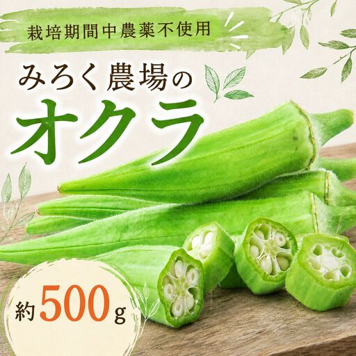 オクラ 約500g | オクラ