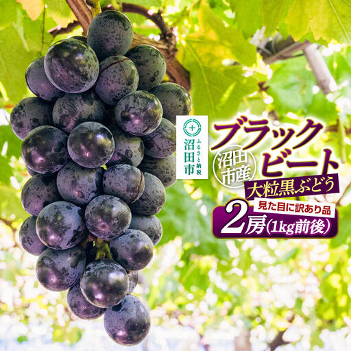沼田市産 ぶどう ブラックビート 2房(1kg前後)ご家庭用 まるいぶどう園