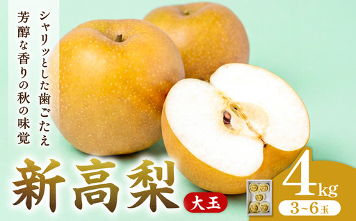 【2027年発送・先行予約】新高梨 3～6玉（約4kg） 化粧箱入り（令和9年9月下旬～11月上旬頃発送）【梨】_bz