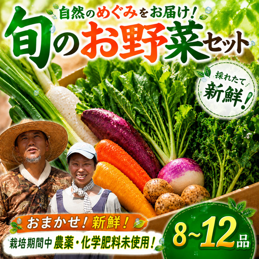 [千葉県香取市]旬の「季節の野菜セット」[詰め合わせ]