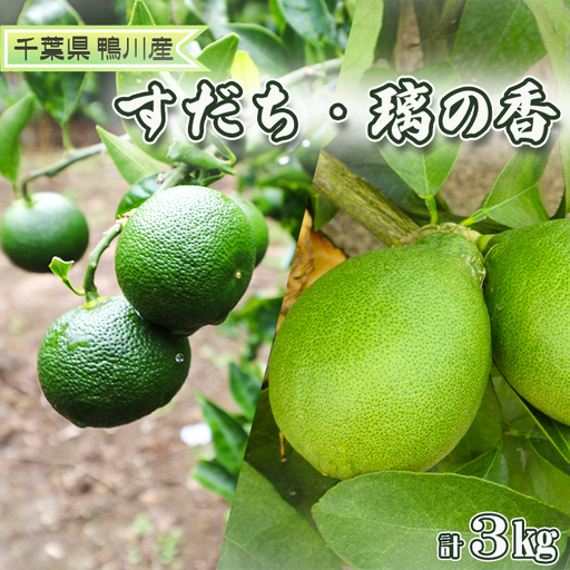 [鴨川の柑橘]香り豊かな『2種の香酸柑橘(すだち・璃香)』計3kg [先行予約][数量限定][9月下旬発送]千葉エコ農産物 国産レモン レモン 千葉県産 低農薬 栽培 果汁たっぷり 旬柑橘 旬フルーツ [刈込園芸][0010-0372]